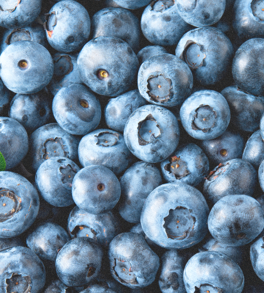 ORIGIN Satiety Complex - Bottomless Berry